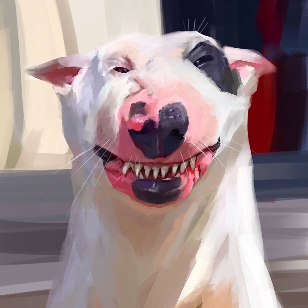 albeniz rodrigues caricature animals illustration digital art dog husky