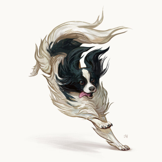 Doggust: Artistic Dog Breeds Illustrations by Jonathan Wesslund