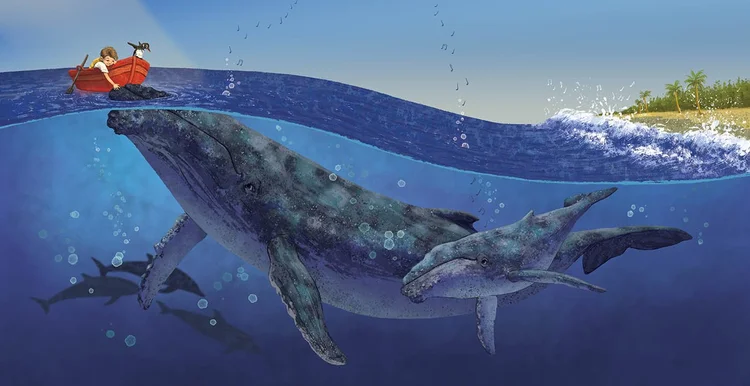 kayla harren book illustration artist kidlit children's books digital art characters nature animals sea whale
